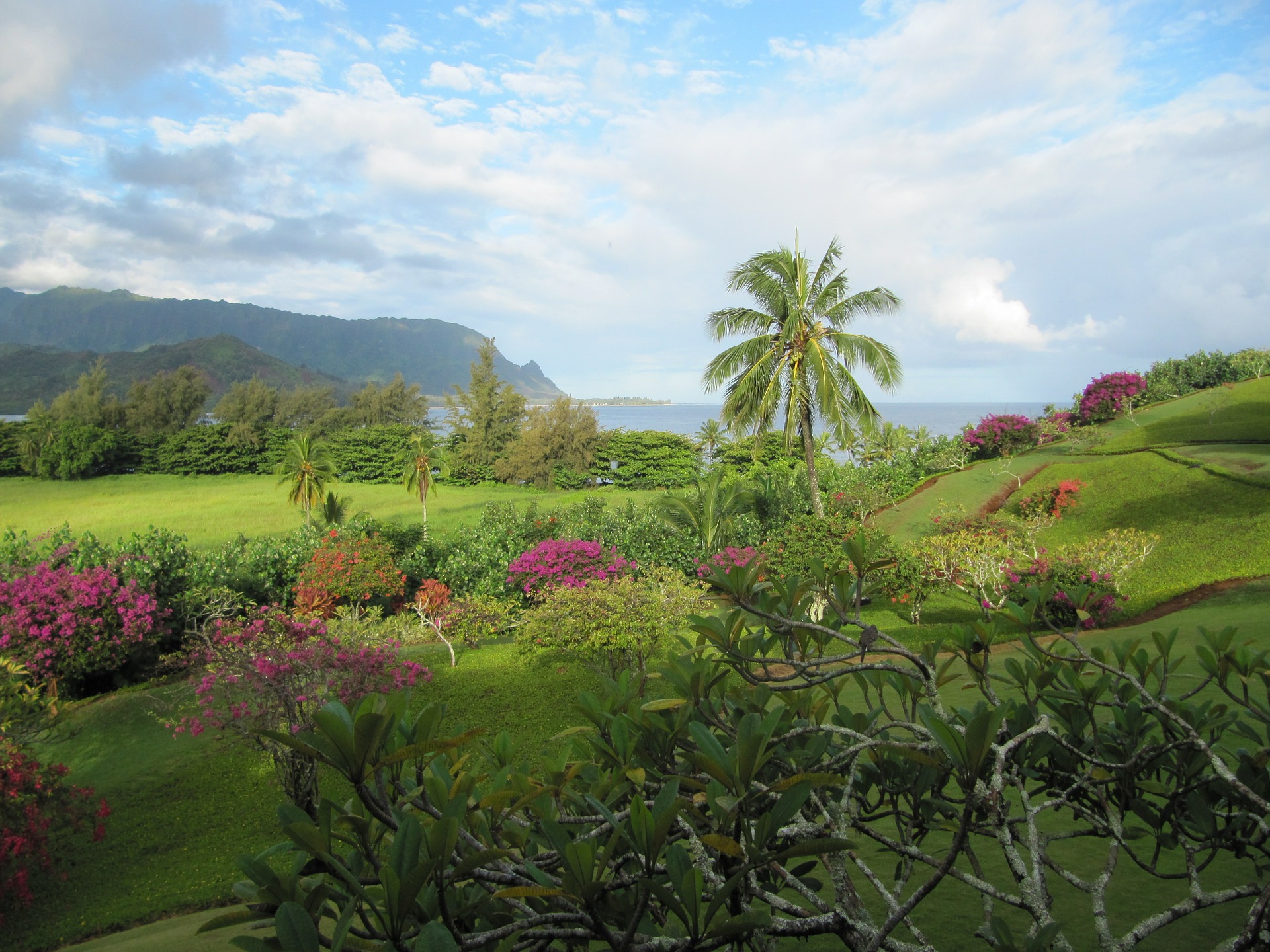 Hawaï